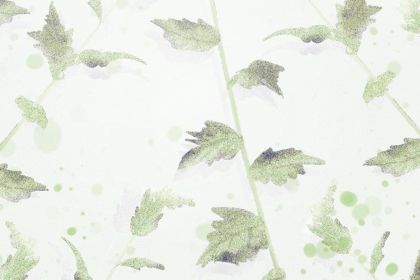 ӼLˮ